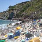 প্লাস্টিক বর্জ্য ও সামূদ্রিক জীববৈচিত্র্য হুমকির দ্বারপ্রান্তে……(Plastic is killing our marine ecosystem)